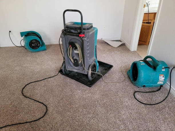 Best Water damage restoration mold remediation  in Willow Grove, PA