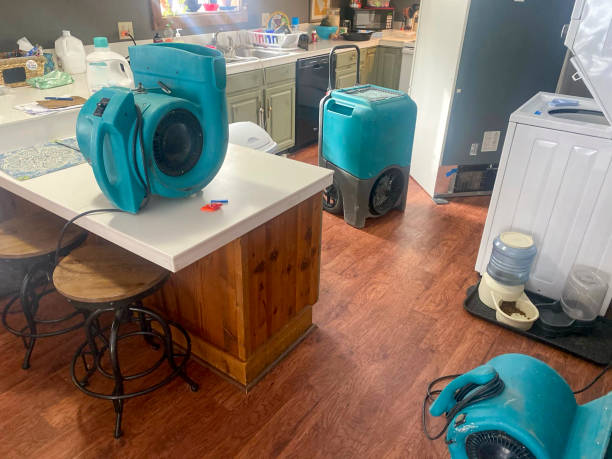Best Professional water damage repair  in Willow Grove, PA